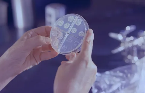 První případ výroby paracetamolu z bakterie Escherichia coli pomocí plastové láhve