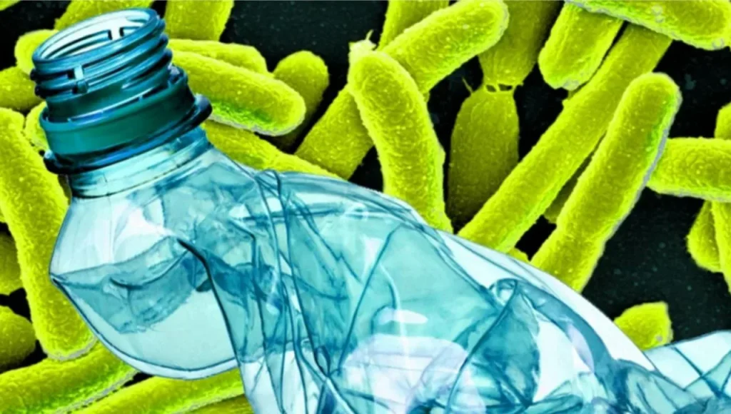 První případ výroby paracetamolu z bakterie Escherichia coli pomocí plastové láhve
