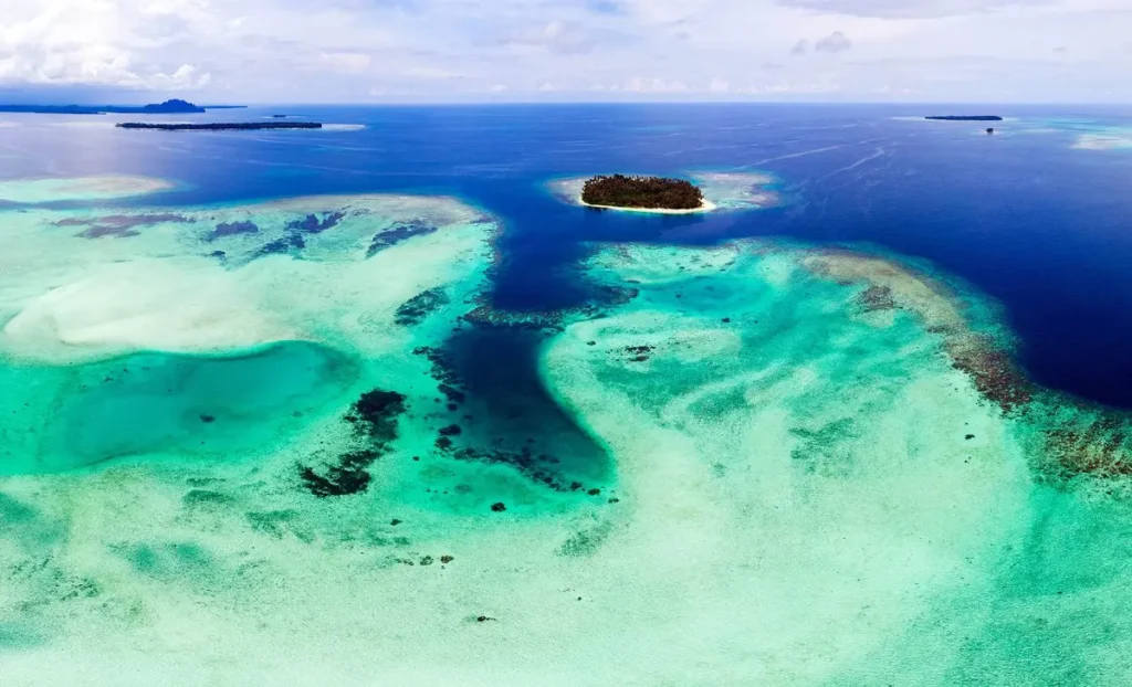 Oceánské vody mění barvu a vytlačují mořský život k pólům