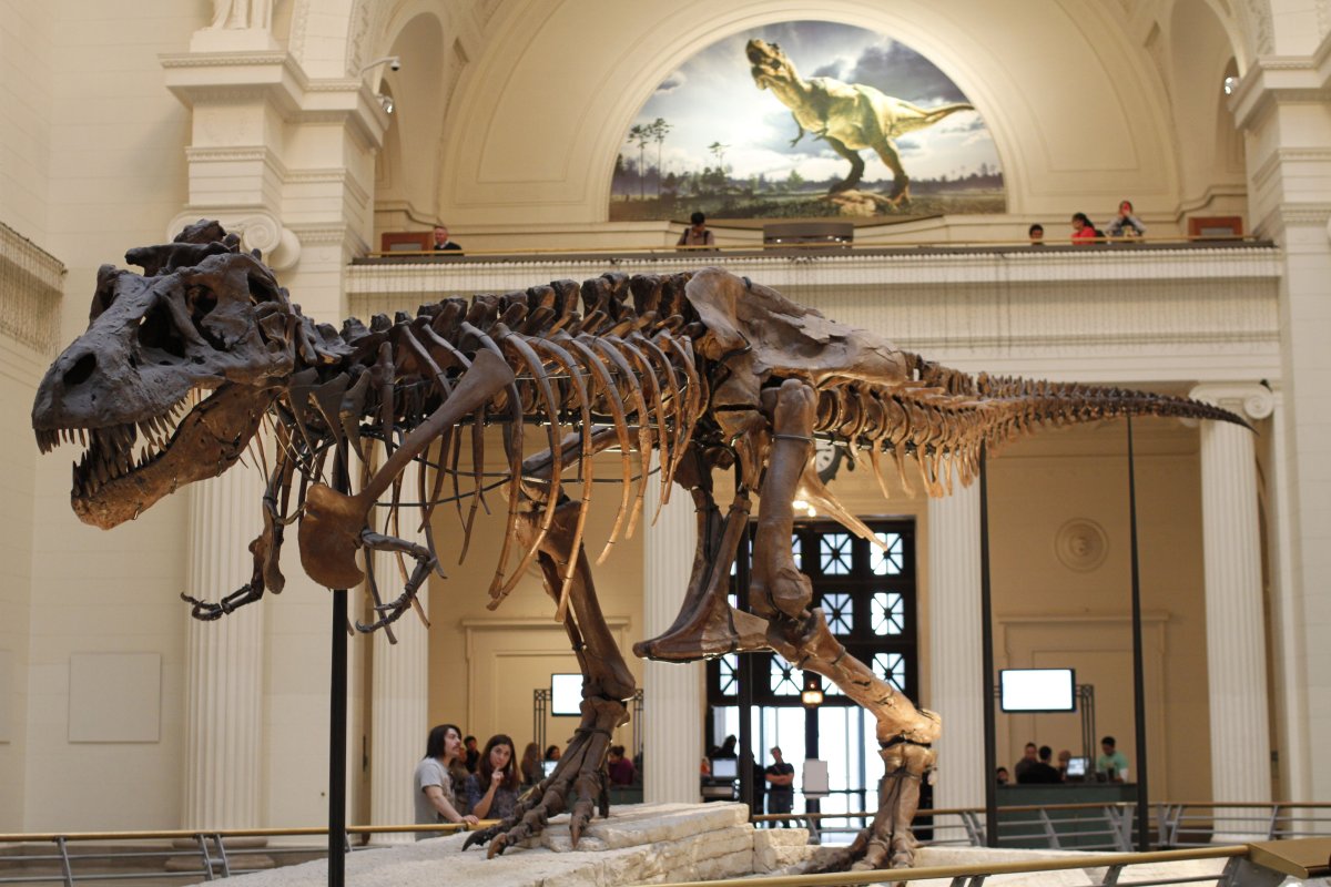 300 milionů let stará fosilie říká vědcům, že něco podobného dinosaurovi z filmu „Příběh hraček“ skutečně existovalo