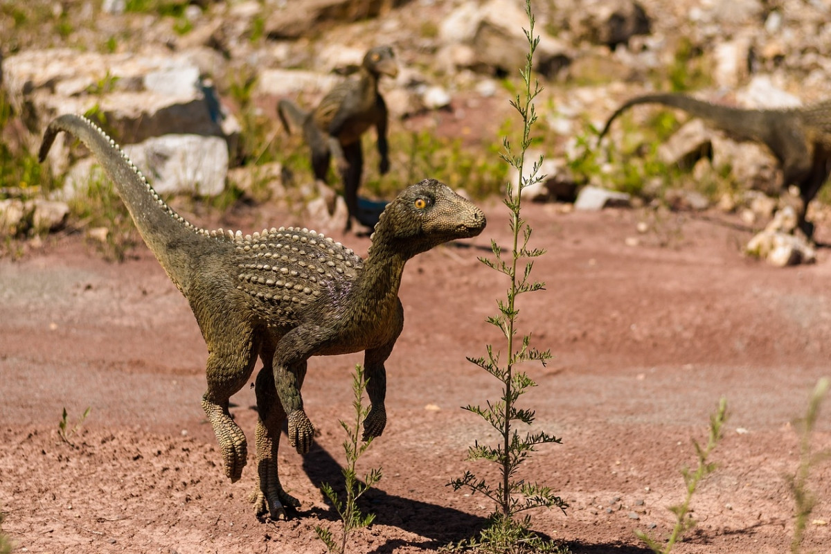 Dinosaury neřvali, ale zpívali: objevena první zkamenělina hrtanu, která svědčí o vokální komunikaci podobné ptačí