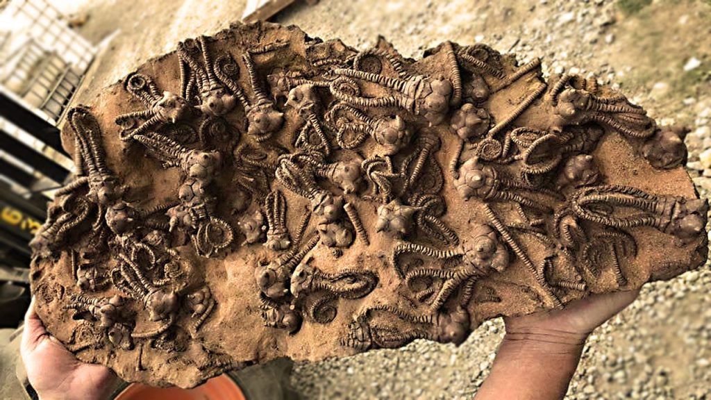 Archeologové to vyvrátili: našli mimozemské kosmické železné šperky vyrobené před 2600 lety