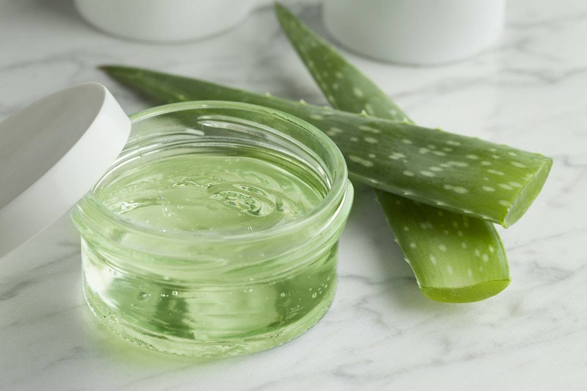 Jak připravit krém na obličej s aloe vera pro tvorbu kolagenu a péči o pleť