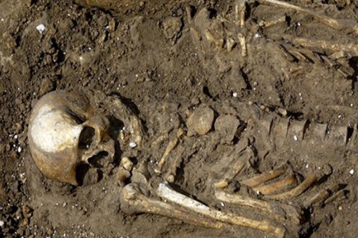 Nález v Africe, který přepisuje historii evoluce člověka