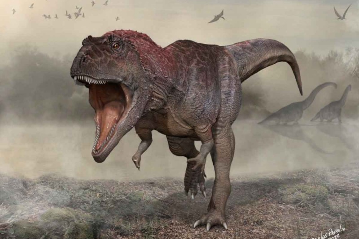 Dinosaury neřvali, ale zpívali: objevena první zkamenělina hrtanu, která svědčí o vokální komunikaci podobné ptačí