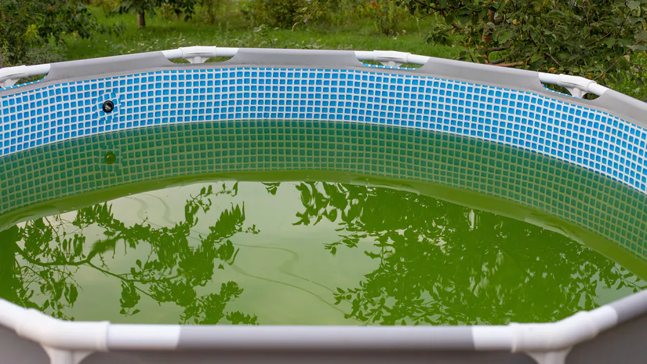 Hoďte hrst do bazénu. Voda bude křišťálově čistá.