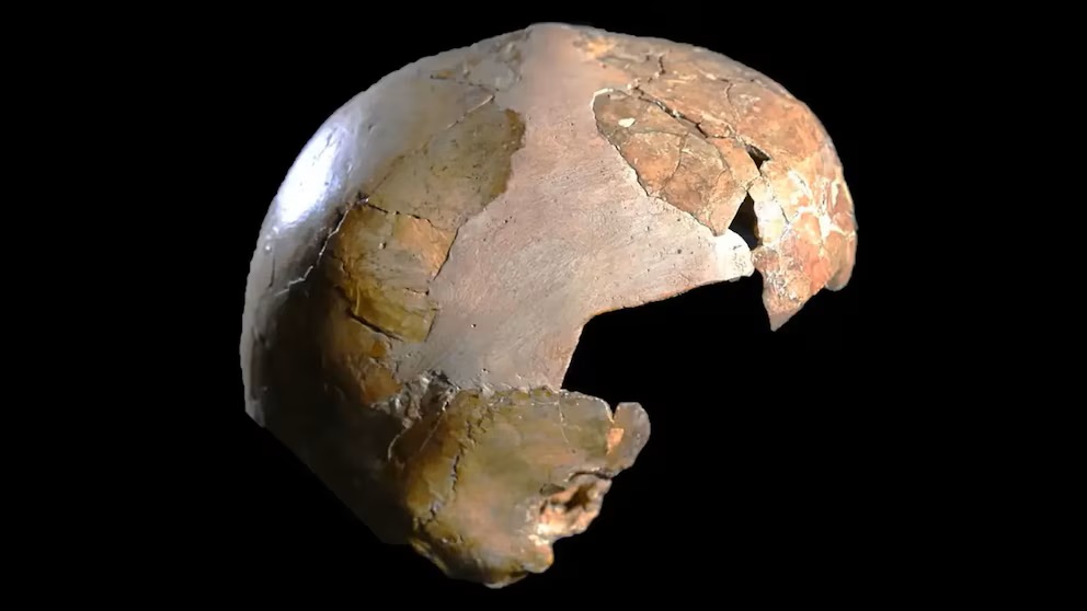 Starodávná lebka nalezená v Izraeli znovu otevírá tajemství soužití Homo sapiens a neandrtálců.