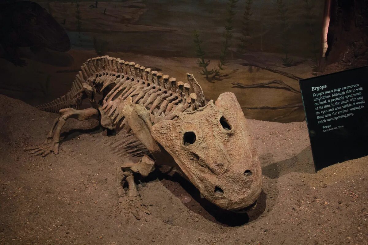 300 milionů let stará fosilie říká vědcům, že něco podobného dinosaurovi z filmu „Příběh hraček“ skutečně existovalo