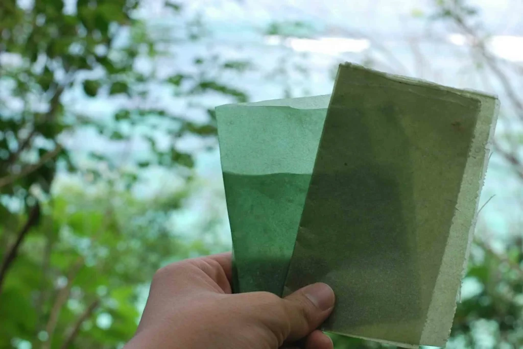 Inženýr z Houston University vyvíjí vylepšené, biologicky rozložitelné a multifunkční listy bakteriální celulózy, které mohou nahradit plast v mnoha průmyslových odvětvích.