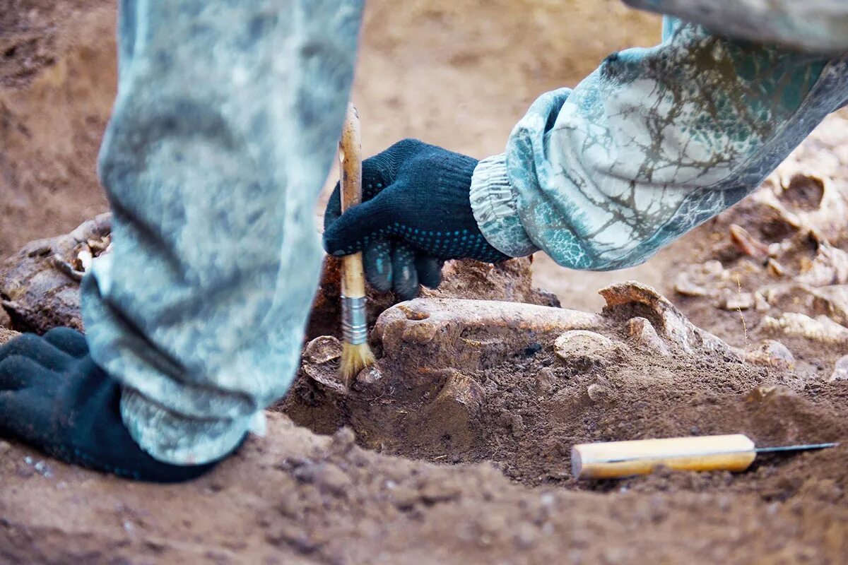 Nález v Africe, který přepisuje historii evoluce člověka
