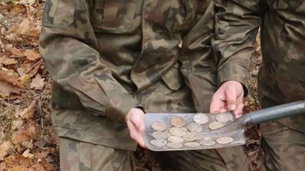 Otec a syn objevili během výletu do polského lesa 17 mincí ze 17. století: poklad v hodnotě více než 100 000 eur.