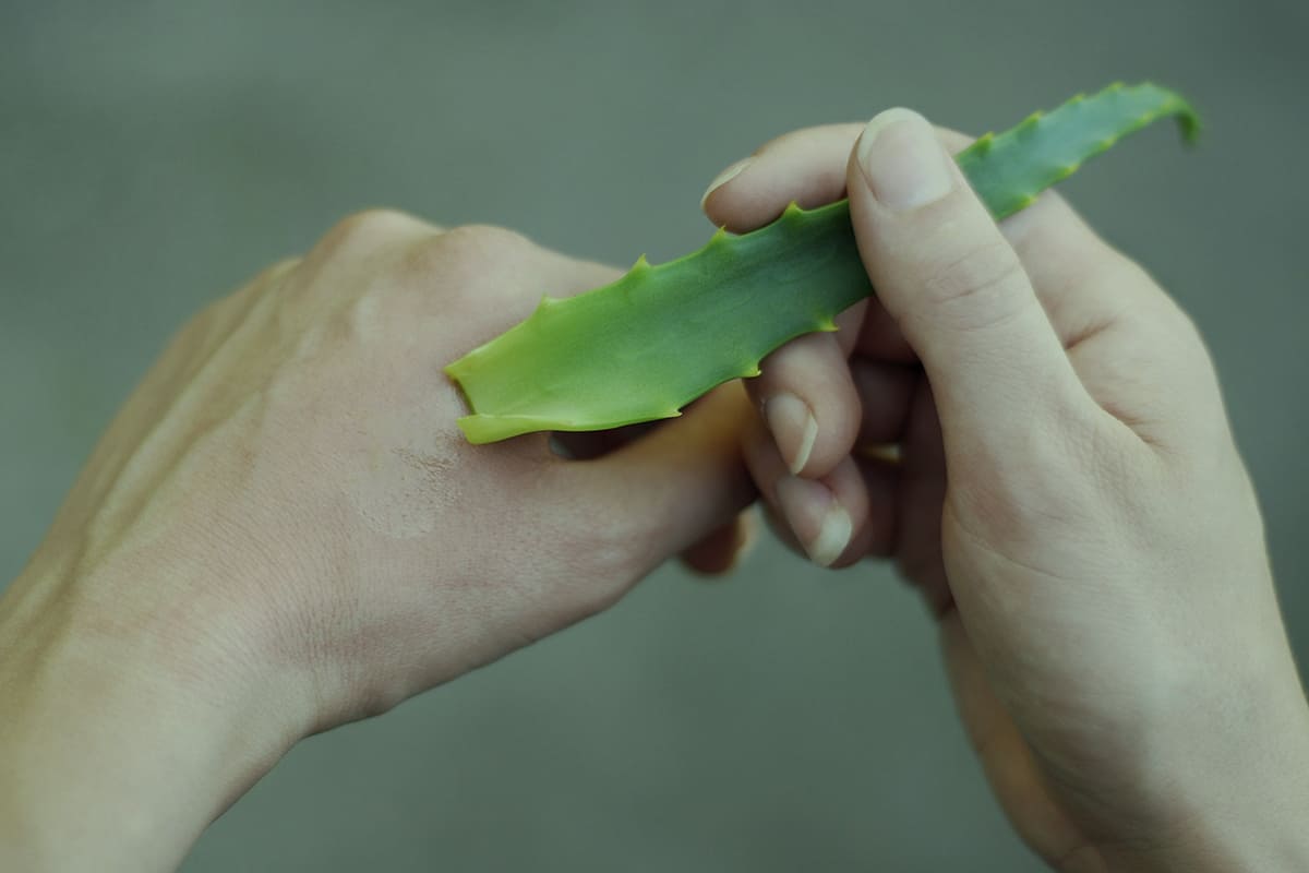 Mytí nohou solí a aloe vera: proč je to podle odborníků nutné a k čemu to slouží